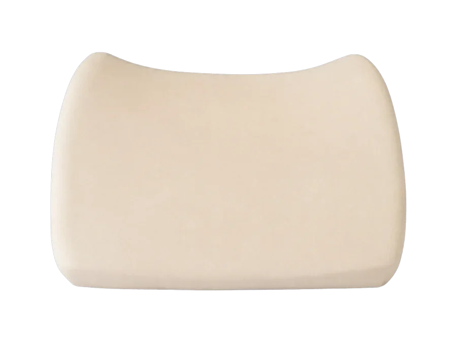 Lumbar Back Pillow